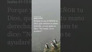 Sostenme con la diestra de tu justicia Amado Abba Padre 🙏🏻 [upl. by Biondo]