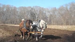 Plowing and Discing with Horses  Cedar Knoll [upl. by Garretson]