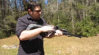 FX Verminator MK1 Tactical 22 caliber  Review [upl. by Rennob]