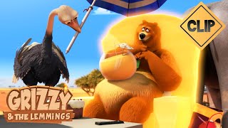 👑 Roi de la savane 🐻🐹 Grizzy amp les Lemmings  Cartoon [upl. by Belayneh]