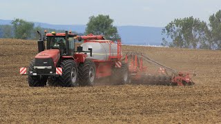 Case IH Steiger 450 HD with Horsch Pronto 8SW at Klostergut Winningen in Germany  Take I [upl. by Aysa]