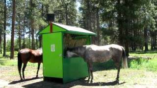 Automatic horse feeder [upl. by Yeneffit]