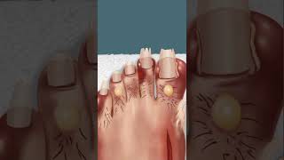 ASMR foot care animation asmranimation asmr animation satisfying makeup inshot [upl. by Nishom]