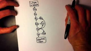 Easy Coagulation Cascade 1 of 2  Simple amp easy to remember [upl. by Ballinger734]