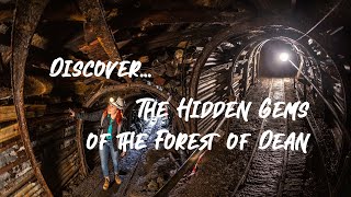 Discover the Hidden Gems of the Forest of Dean [upl. by Darwin825]