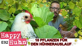 E92 Den Hühnerauslauf bepflanzen 10 Pflanzentipps HAPPY HUHN Hühnergehege grün halten Robert Höck [upl. by Anatsirhc146]