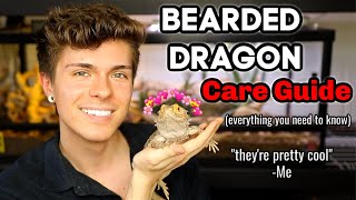 Bearded Dragon Care Guide EVERYTHING you need to know [upl. by Danila643]