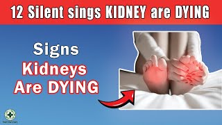 Are You Ignoring These 12 Silent Signs Of Kidney Failure [upl. by Leumhs174]