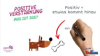 Operante Konditionierung  Positive Verstärkung [upl. by Babbette628]