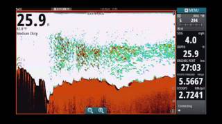 NSS Evo2  How to Interpret CHIRP Sonar Part 1 [upl. by Rothberg]