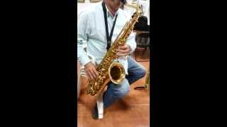 Saxofon tenor Startone sts75 [upl. by Ezana]