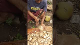 cara buka batok kelapa [upl. by Ahsika]