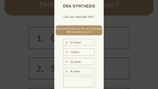 Biology MCQ During which phase of the cell cycle does DNA replication occur Diarasacademy [upl. by Tormoria716]