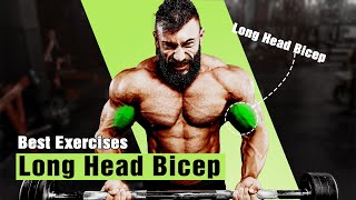 BEST LONG HEAD BICEP EXERCISES FOR MASSIVE ARMS [upl. by Yadsendew]