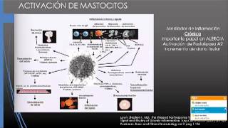 RESPUESTA INFLAMATORIA SISTÉMICA [upl. by Welch]