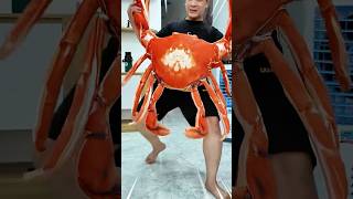 Em Trai Hối Lộ Chị Hai Mua Cua Hoàng Đế Ăn  King Crab  Vê Vê Travelvevetravel kingcrab veve [upl. by Eide794]