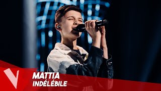 Yseult – Indélébile ● Mattia  Demifinale  The Voice Belgique [upl. by Zetrom]