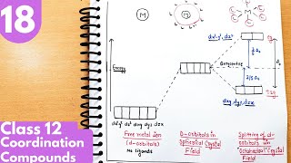 18 Crystal Field splitting in octahedral complex CFT in octahedral Coordination Compounds Class12 [upl. by Marybelle]