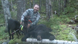 Laneys Guide Service Pete Gamache 2011 Maine Bear Hunt w Hounds [upl. by Clere747]