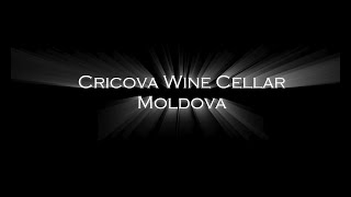 Cricova Wine Cellar Tour Moldova 4K [upl. by Euqinotna100]