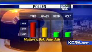 Trees Grass Bring Misery For Allergy Sufferers [upl. by Akeret719]