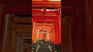 Discover the Magic of Fushimi Inari Shrine [upl. by Dotty]