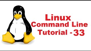 Linux Command Line Tutorial For Beginners 33  How to Run multiple Terminal Commands [upl. by Nolrah]