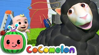 Baa Baa Black Sheep  CoComelon Nursery Rhymes amp Kids Songs [upl. by Yramesor349]