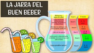 La jarra del buen beber ¿Cuáles bebidas son saludables para nuestro cuerpo explicación fácil [upl. by Nodyarb]