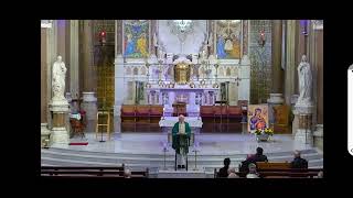 Morning Mass  The Church of the Most Holy Redeemer Clonard Monastery West Belfast N Ireland [upl. by Ahsietal]