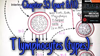 Types of T lymphocytes  chapter 35 part 8 Guyton and Hall text book of physiology [upl. by Jamin565]