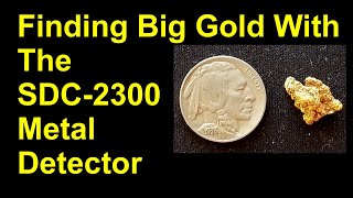 Finding big gold with the Minelab SDC 2300 detector [upl. by Parik]