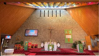 Thirteenth Sunday in Ordinary Time Year B 30th June 800am Mass  St Patricks Church Sutherland [upl. by Herzel107]