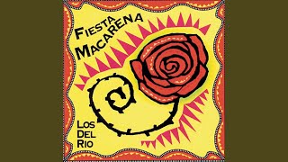 Macarena River ReMix [upl. by Roseline]