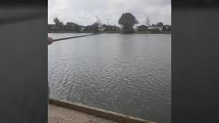 Osprey Lake Tattershall Lakes Video 6 Fishing fun for the kids [upl. by Selij196]