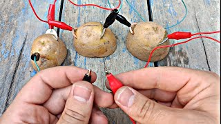 How to generate electricity from potatoes mr inventor [upl. by Reace]