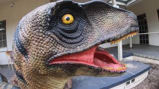 National Dinosaur Museum 2019 [upl. by Aneem546]