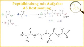 Peptidbindung mit Klausuraufgabe zur AminosäureBestimmung in der Skelettschreibweise [upl. by Aronoel]