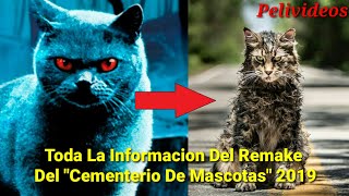 Toda La Informacion Del Remake De quotCementerio De Mascotasquot 2019 [upl. by Ogden]