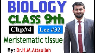 Meristematic tissues  Simple tissues  Plant Tissues  Chapter 4 9th class Biology  Lec 32 [upl. by Belita]