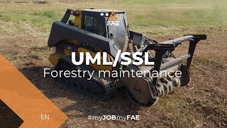 UMLSSL forestry mulcher  One of the most successful models in the FAE range [upl. by Haydon]