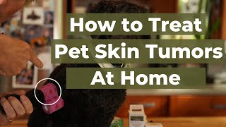 Discover the Top 5 Home Remedies for Skin Tumors in Dogs and Cats [upl. by Sexela302]