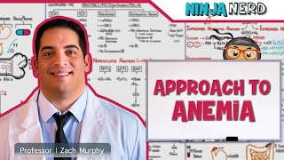 CBC  Approach to Anemia [upl. by Yltneb]