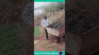 The Process Of Rolling Dung Down A Slope [upl. by Vine]