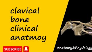 Clinical anatomy of clavicle bone  upper limb anatomy  bd chaurasia [upl. by Hume]