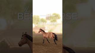 SSO best horse jumper starstable sso starstableonline horsegame horsejumping [upl. by Eliot900]