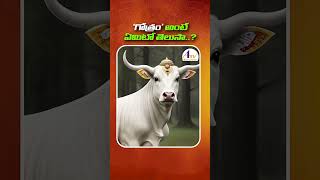 గోత్రం అంటే ఏమిటి Gothram Ante Emiti  Gothram Meaning in Telugu  ATV DEVOTIONAL [upl. by Bride]