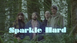 Stephen Malkmus amp The Jicks  Sparkle Hard The Supercut [upl. by Boyt375]