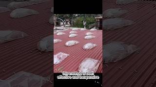 Reinforce Roof By Water Bags [upl. by Jun]