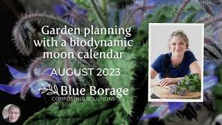 Planning your gardening tasks with a biodynamic moon calendar August 2023 with Blue Borage [upl. by Trebla979]